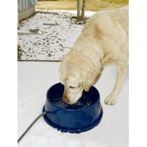 Cordless Heated Water Bowl Wayfair